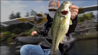 Washington State Bass Fishing