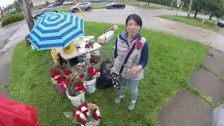''Is Everyone Selling Flowers Around Here Japanese?'' ((LEVEL-UP))