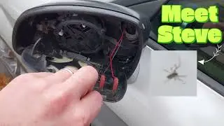 Audi TT Mk2 Wing Mirror Removal