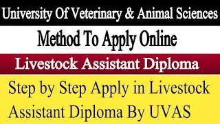 How To Apply in UVAS for Livestock Assistant Diploma 2022 | UVAS LiveStock Assistant Diploma