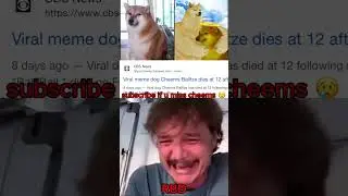 RIP Cheems 😢 #shorts  #sad  #cheems #doge #viral #edit
