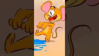 Tom & Jerry fights shorts🧑&zwj;🚒#tomandjerry #funny #shorts
