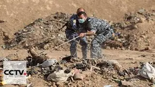 Iraqi investigators begin examination of mass grave