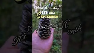 Have A Blessed Day #Advance Merry Christmas #Gratefulheart #koreavlog #Shorts