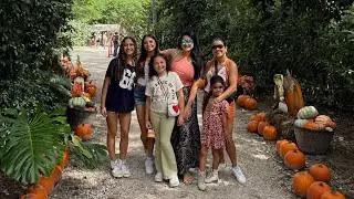 Fall 🍁🌻Festival at Miami Pinto&rsquo;s Farm oct. 2024