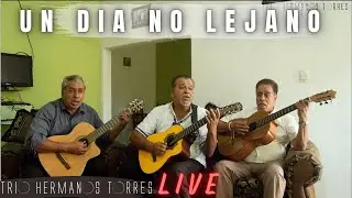 Trio Hermanos Torres - Un Dia No Lejano (Live)