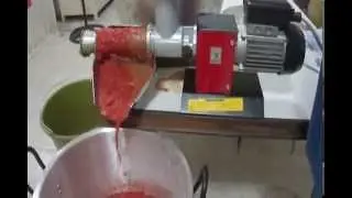 SALSA DE TOMATE