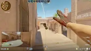 Quick Recap on Everything You NEEDTo Know On Anubis!