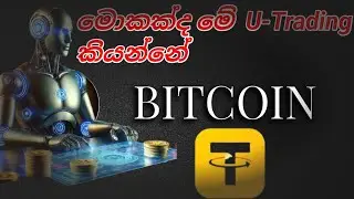 Welcome to IBX Trader | Learn Crypto the Smart Way