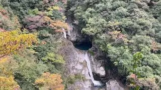 Todoroki Falls: 82m Sacred Cascade & Blue Basin for Sleep | 日本の滝100選「轟の滝」。不眠解消・作業用BGM・平家伝説と紅葉の癒やし