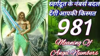 Decode the meaning of your unique angel number sequence | Angel Numbers 981 Meaning | Angel Kaun Hai