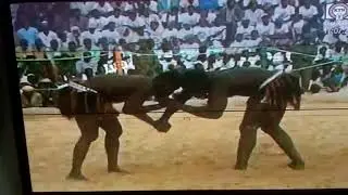 Labo mai kafo vs Badamassi Alassane, finale zinder 1994