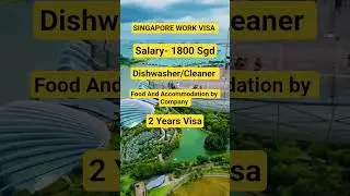 SINGAPORE Work Permit | Singapore Tep Pass |  Singapore Study Visa #singapore #immigrationvisa