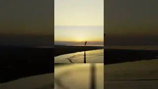 Start Your Journey With Motivated Monkey