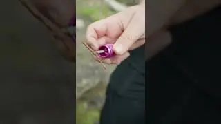 🤘 Rapid Bike Tyre Repair Tool! 😲