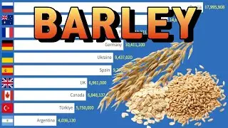Top 10 Countries by Barley Production