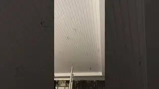 Translucent Stretch Ceiling with Backlit in process #stretchceiling #srinterior #ceilingideas