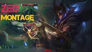 ZED MONTAGE 2021