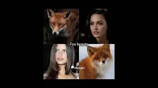 What animal beauty you have?🐇@Axthetic_Twinkle#beauty #animals #song #girl #video