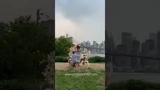 Can you imagine a better background for a proposal? #proposal #marriageproposal  #nycproposal