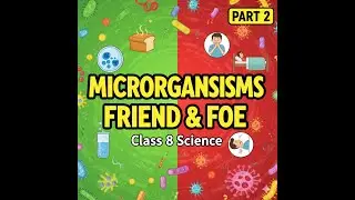 Microorganisms  Friend and Foe Summary in 10 minutes Quick Revision cbse Class 8 Science