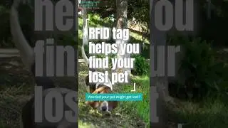 RFID tag helps you find your lost pet. #rfid #tag #pets #smart