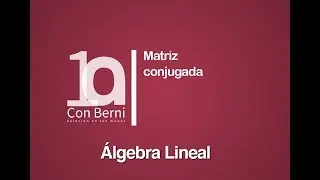 Matriz conjugada