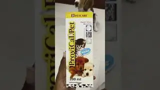 Best Calcium Tonic for Puppies | 5ml Twice a Day