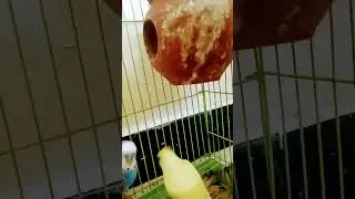 Yenda imputtu azhga padacha andava........... Chock agiten