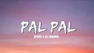 Pal Pal - Afusic & Ali Soomro (Lyrics) Music video 