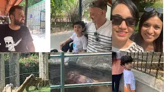 Family outing at the zoo 🦁🐯🦓🐘🦌#vlog #family #zoo #animals