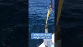Deploying a Sacrificial Weight System - Daytime Swordfishing in Gulf of Mexico