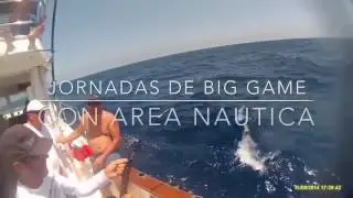 The Giant Bluefin Tuna in Spain  (Javea - Costa Blanca)