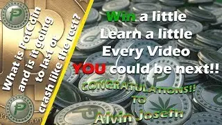 What is PotCoin? Is It Really Even Worth Investing In/Making purchase Or Will It Crash Like the Rest