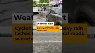 Cyclone Montha: Heavy rain lashes Nellore, several roads waterlogged