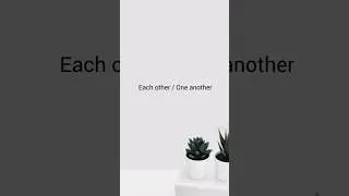 Each other / One another. 