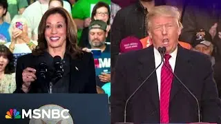 ‘Blatant voter suppression’: Red states aggressively purge voters as Harris beats Trump in new poll