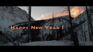 2020: A Year on the Trail