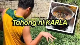 Kinamatisang TAHONG | Buhay Probinsya | Oliver Castro
