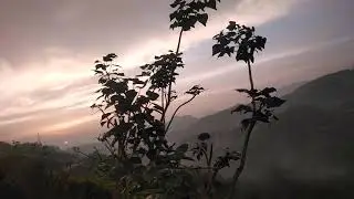 Munnar  Gap Road view