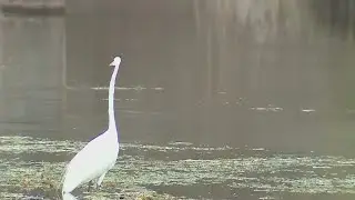Water flow hits 'lowest' levels in 100 years in Hill Country rivers feeding Canyon Lake