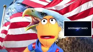 Government Basics