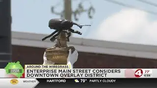 Enterprise Main Street considers downtown overlay district