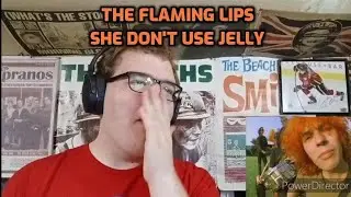 The Flaming Lips - She Don't Use Jelly | Reaction!