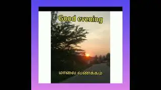 மாலை வணக்கம்| சூரிய அஸ்தமனக் காட்சி|good evening image|sun set photo