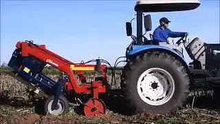 Asian Agriculture Technology Farm   Cassava Cultivation Farming and Harvesting