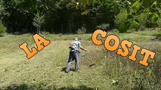Am pus motocoasa MICUL FERMIER din nou la treabă