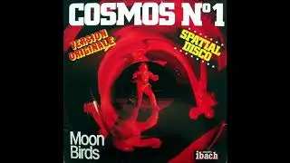 Moon Birds - Baby Moon