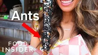 Would You Try Ants On A Stick?