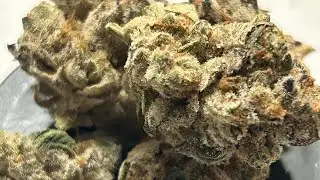 Smoke and Ride | Cannabis Review | Dr Greenthumbs | #5280 | 